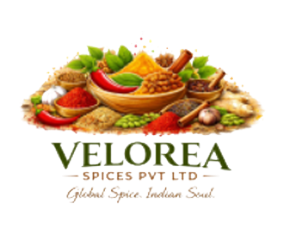 Client Logo 15